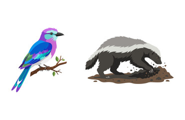 Naklejka premium Colorful Lilac Breasted Roller Bird Perched Beside A Burrowing Honey Badger In Wild Nature Illustration