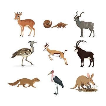 Diverse Collection of African Wildlife and Savanna Animals Vector Illustration Set