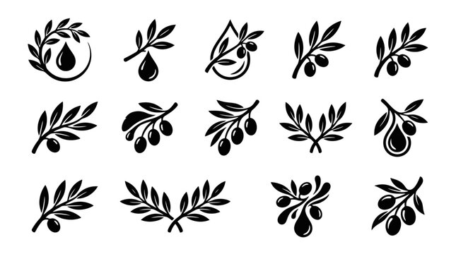 Olive branch icons with leaves and olives.