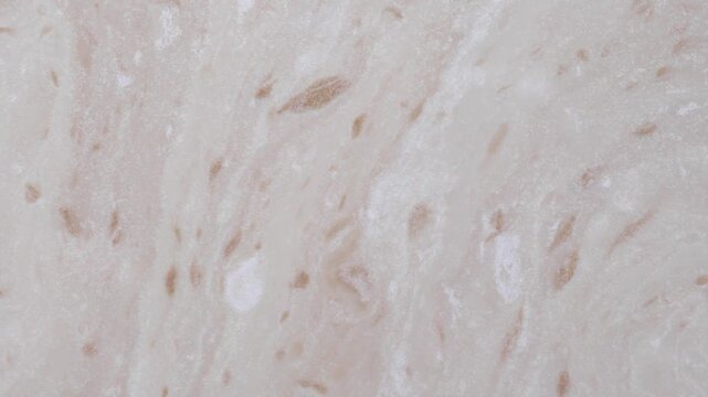 abstract coffee and milk foam swirl texture background