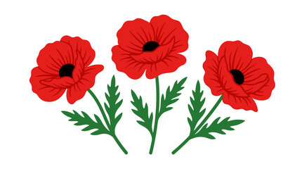 Obraz premium Three red poppy flowers with green stems and leaves