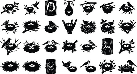 Black silhouettes of birds in nests on tree branches and trunks, various poses bird silhouettes tree trunks © hr graphics