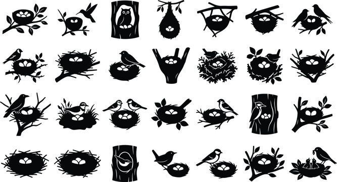 Black silhouettes of birds in nests on tree branches and trunks, various poses bird silhouettes tree trunks