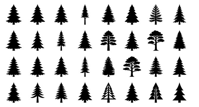 Collection of various pine tree silhouettes