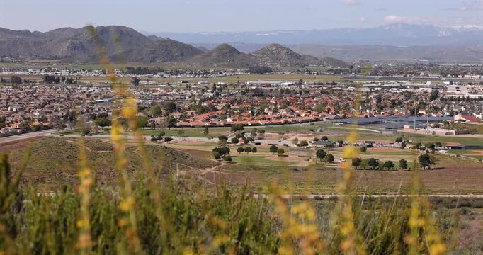 Flowers frame a view of the residential area of Hemet, California, USA. 