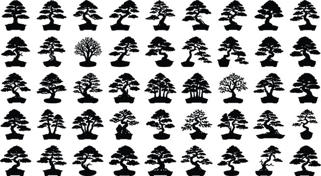 Black silhouettes of bonsai trees on white background, various shapes and sizes tree white background
