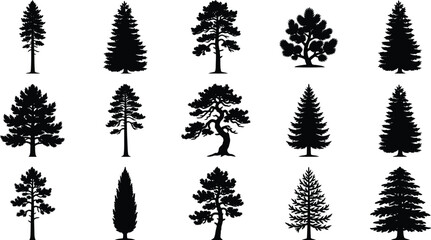 Set of black silhouettes of different evergreen coniferous trees. © jim's Cafe