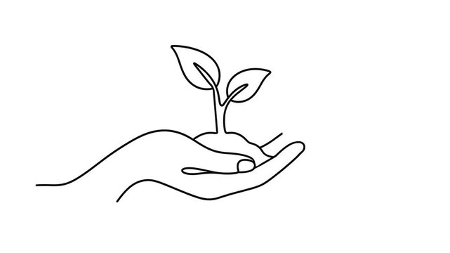 Animated self drawing of continuous line hand holding young plant sprout. Eco growth, environmental protection and sustainability concept. Outline style. Full length one line animation.