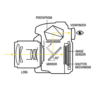 DSLR Camera Optical Path Cross Section Diagram
