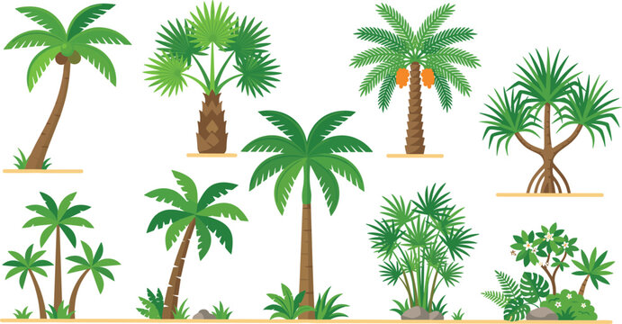 Tropical palm trees vector set featuring coconut tree date palm fan palm pandanus trunk roots green leaves and jungle botanical elements isolated on white background.