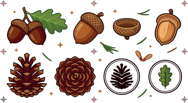 Autumn forest oak element vector set featuring acorns green leaf pine cones seed shells and round botanical emblems isolated on white background.