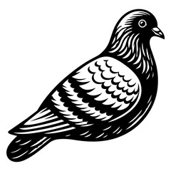 Fototapeta premium Vintage pigeon woodcut illustration, black and white bird linocut art, stylized dove graphic for nature branding and logo design