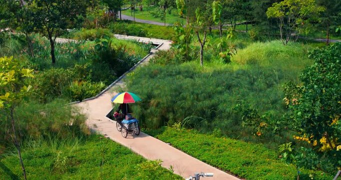 Umbrella covered tricycle rides along winding park path through lush green grass and trees, rider moving away in peaceful outdoor garden landscape under bright daylight and calm summer setting.