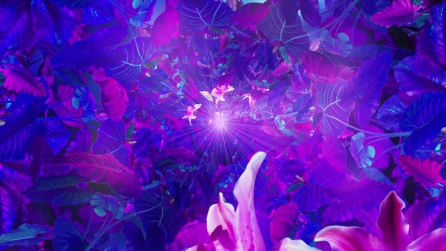 Purple Flower 03