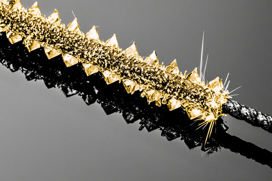 Golden Sparkler on Black Glass with Dramatic Reflections