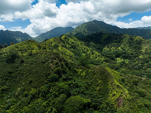 The island of Kaua'i of Hawaii. Mountain range and backdrop to the Hanalei Bay