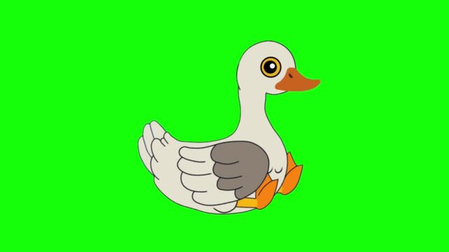 Cute White Cartoon Duck Sitting and Talking Animation Cycle