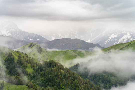 Aerial view of Ali Bugyal, a lush high-altitude meadow surrounded by rolling green hills, misty clouds, and snow-capped Himalayan peaks in Chamoli, Uttarakhand, India.