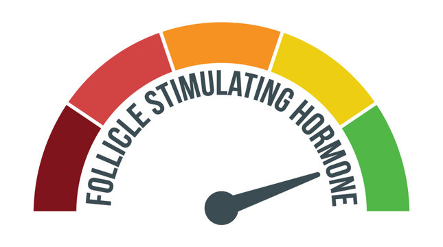 Colorful vector illustration of a medical gauge measuring follicle stimulating hormone levels with a pointer