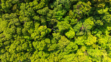 Fototapeta premium This drone perspective captures the harmony between water resources and tropical rainforest, emphasizing the ecological importance of Bang Wad Dam.