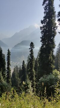 Morning sun rays and greenery with mountain background, arang kel Kashmir Pakistan.