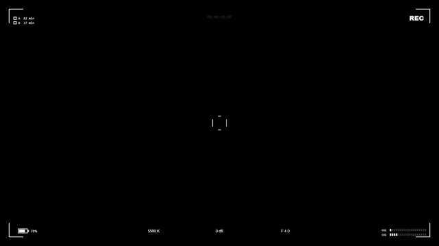 Digital Camera Video Recorder Viewfinder Overlay Interface
