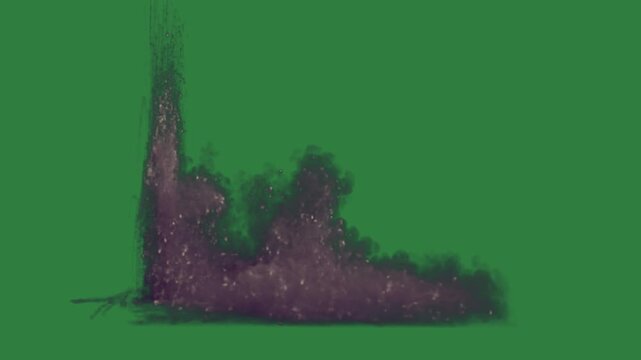 Bird flying in the air on map of new york it small tree middle an image building smoke coming out black tower isolated on green screen background