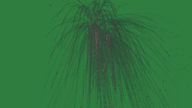 Fireworks in the middle bunch of flowers on it an image tree palm isolated on green screen background