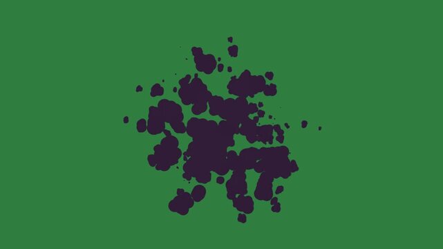 Bunch of flowers on black substance some spots it dots orange yellow grapes silhouette isolated on green screen background