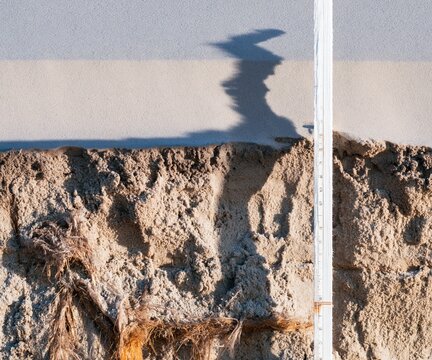 Survey staff casting a surreal shoreline shadow across a weathered scarped sand dune, showing gritty texture and root fibers for climate change and erosion science