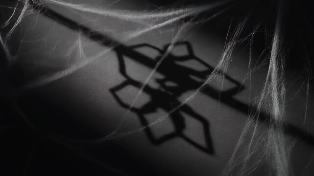 Intricate Thread Shadow of a Spider Web Creating a Spooky Halloween Vibe