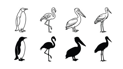 Obraz premium Hand drawn bird icons set, black and white penguin flamingo pelican and stork vector illustrations, wild bird silhouettes and line art