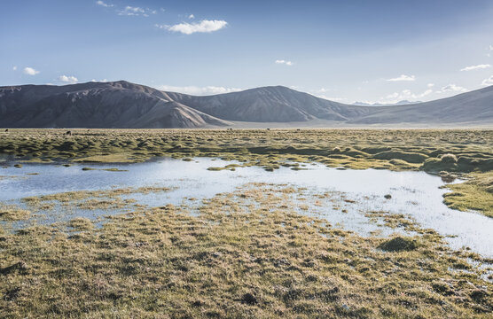 Clear-water rivers and lakes in a mountain valley, pastures and green grassy fields set against mountain ranges and snow-capped, glacier-clad peaks&mdash;a scenic landscape background