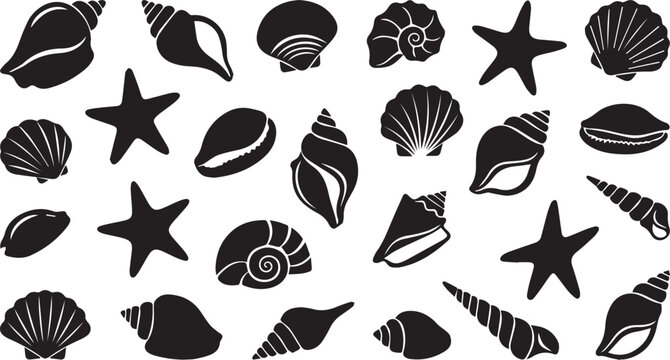 Black silhouette seashells and starfish collection marine life vector illustration