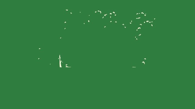 Bear on clock it flower group of people standing in front silhouette bird bunch flowers isolated on green screen background
