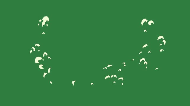 Outline face owl heart bunch flowers isolated on green screen background