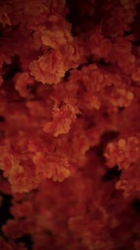 cinematic beautifull red leaf inside of restaurant background