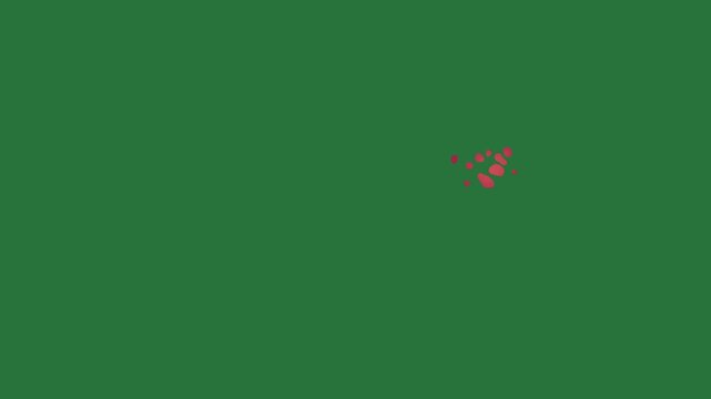 White border and map of hawaii new zealand screen small red dot an apple the state isolated on green screen background