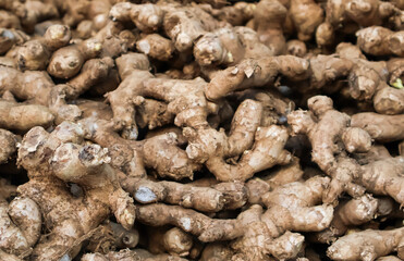 Fototapeta premium A close-up and high angle view of a large pile of fresh raw ginger roots or rhizomes displayed at a traditional local market.