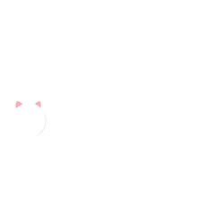 Long white cat text box frame banner horizontal © BlackGroundMeYou 