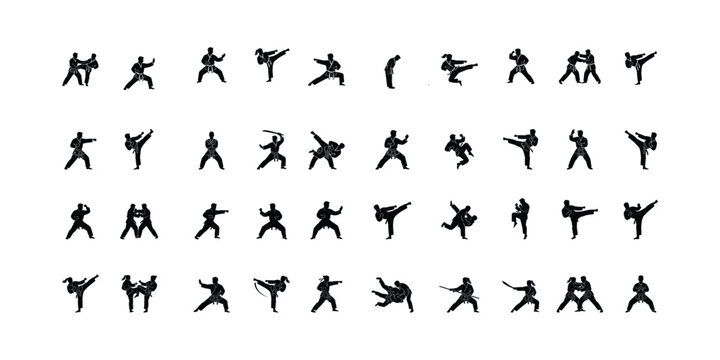 Vovinam Martial Arts Silhouette Icons Set with Fighting Poses