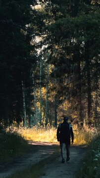 walking in the woods