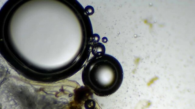 High Contrast Microscopic Bubbles Interacting with Debris