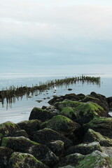Soirée calme sur la plage Berck-sur-Mer dans le Pas-de-Calais en France © Pause Papote