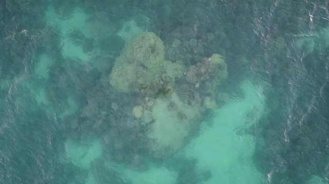 Aerial drone view of coral reef patterns at Ningaloo Reef