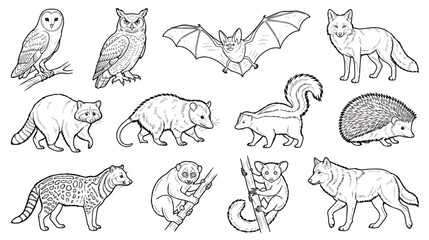 Nocturnal animals line art collection, 12 forest wildlife vector icons, black and white coloring book style illustrations of owl, bat, and fox © Ch