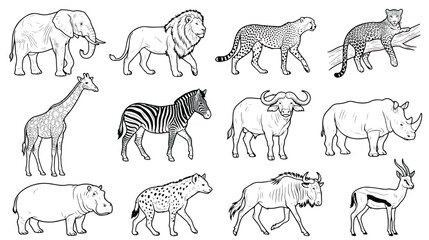 African safari animals vector set, hand drawn black and white wildlife illustrations, collection of 12 savanna animal line art icons for coloring book © Ch