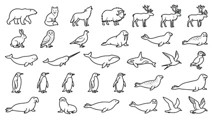 Arctic animals line art icons, set of 33 minimalist polar wildlife vector illustrations, black and white doodle sketches of northern fauna © Ch
