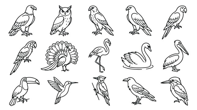 Minimalist bird line art icons, set of 15 black and white avian vector illustrations, wild bird species collection for coloring book and logo design
