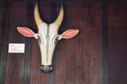 Traditional Wooden Mask Of Sacred Cow On Timber Wall